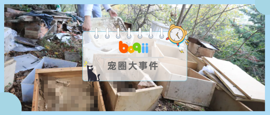 老人病后拜托家人上门喂猫，却被发现家中有超100只小动物的尸体…