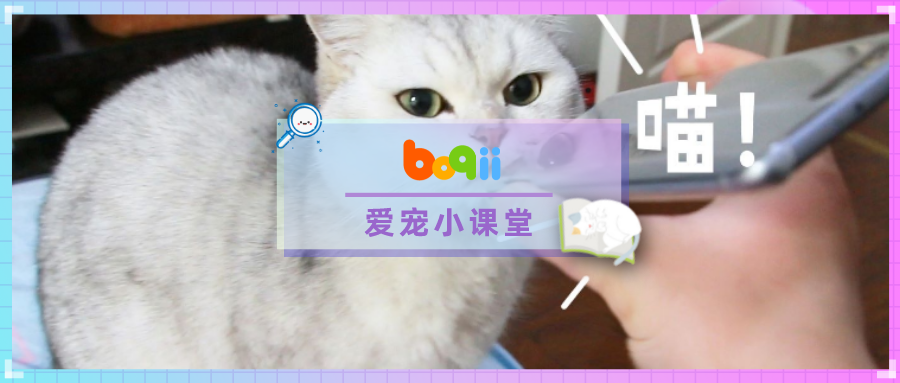 半夜不小心踢到了猫，它冲着我嗷呜到天亮….不会是在骂我吧？！