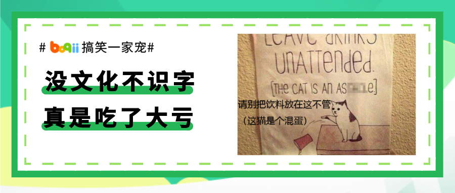 吃了没文化的亏！28斤胖橘骗人帮它越狱，主人无奈立牌警示后，再也无人上当！
