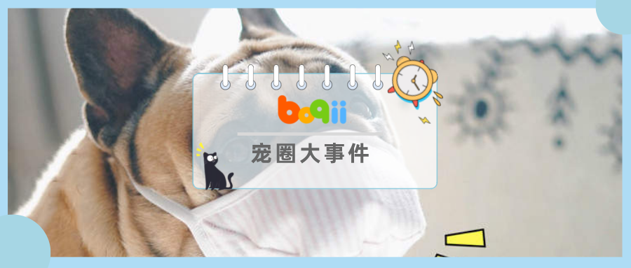 打着防疫的旗号，给狗子戴口罩，这是疯了吧？？？！