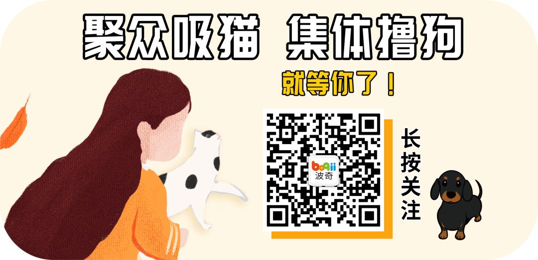 波奇宠物携手怡亲 助力中国导盲犬事业快速发展-微信头条网 波奇宠物携手怡亲 助力中国导盲犬事业快速发展