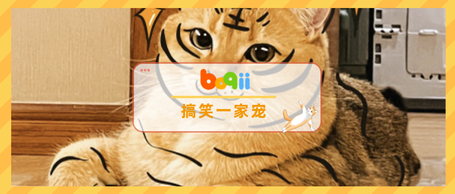 对不起我摊牌了！“私自”养了一只小脑斧…萌到犯法！