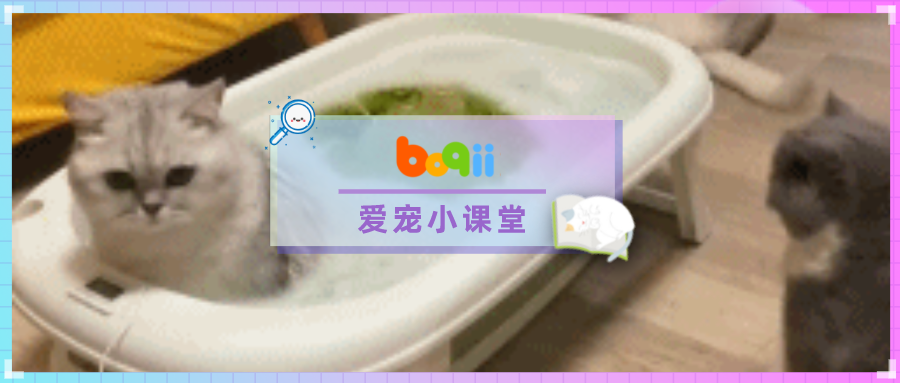 我家猫在床上放了个屁，那块床单染上的“余臭”整整挥发了半小时！