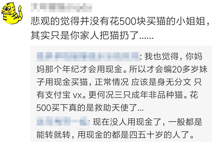 尋貓！網友媽媽趁她住院，偷偷把養了三年的貓500塊錢賣了！ 寵物 第13張