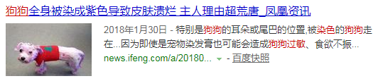 白色流浪狗被人畫成「跳跳虎」……網友心痛：這就是虐待啊！ 寵物 第8張