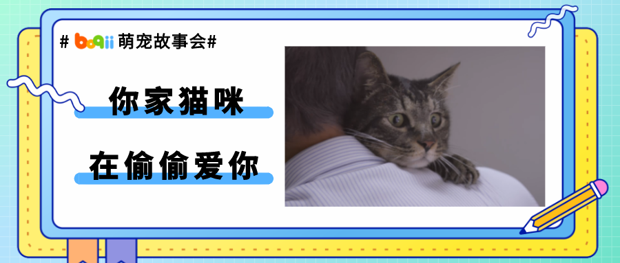 “和我家猫分开两年，它还会记得我吗？”这个实验告诉你，猫才不是养不熟的白眼狼！