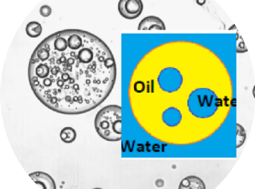 利用LUMiFuge®穩(wěn)定性分析儀測定W/O/W型雙重乳液的產(chǎn)率