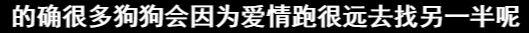 主子們無端作惡？那是鏟屎官你少了這一課 寵物 第26張