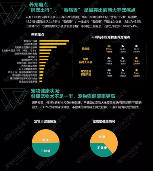 主子們無端作惡？那是鏟屎官你少了這一課 寵物 第45張