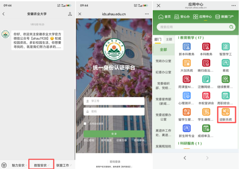 团片1.png