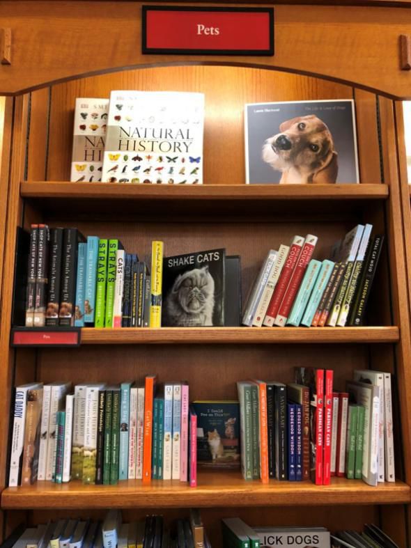 1本百科全书，6000张高清插图，让孩子轻松学会45亿地球历史