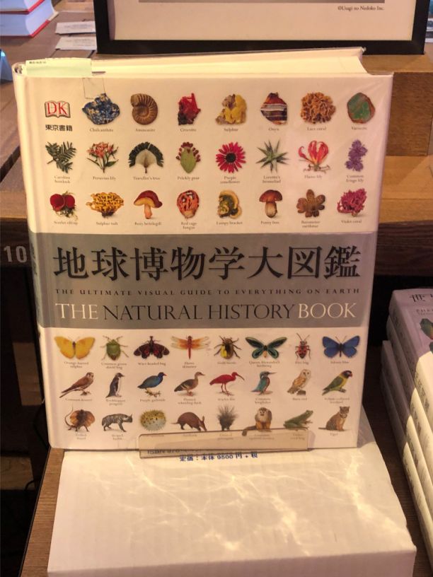1本百科全书，6000张高清插图，让孩子轻松学会45亿地球历史