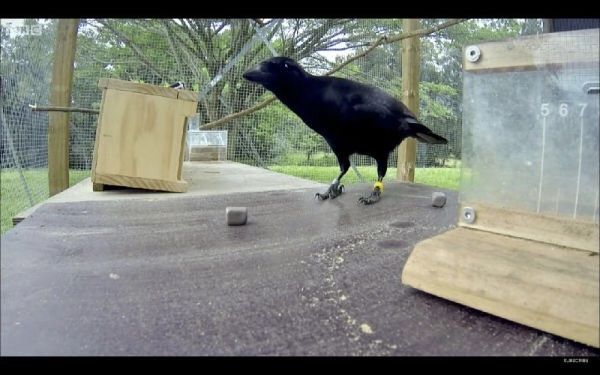 看完这部9.3分纪录片，我终于get到排名前1%孩子的思考秘诀