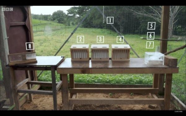 看完这部9.3分纪录片，我终于get到排名前1%孩子的思考秘诀