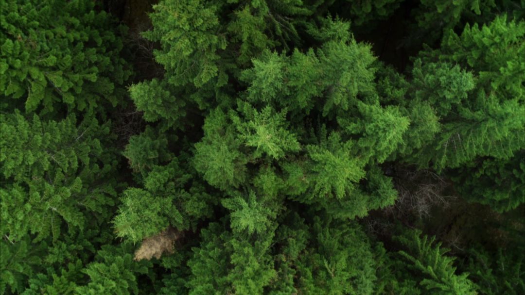 跟着BBC太空漫游：这部9.6分的科普纪录片，解锁太阳系的秘密