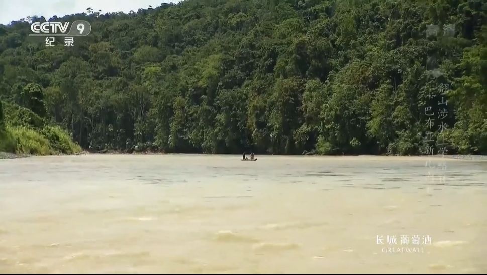 看哭10万人的9.6分神作出续集，有一群孩子为了上学可以赌上性命