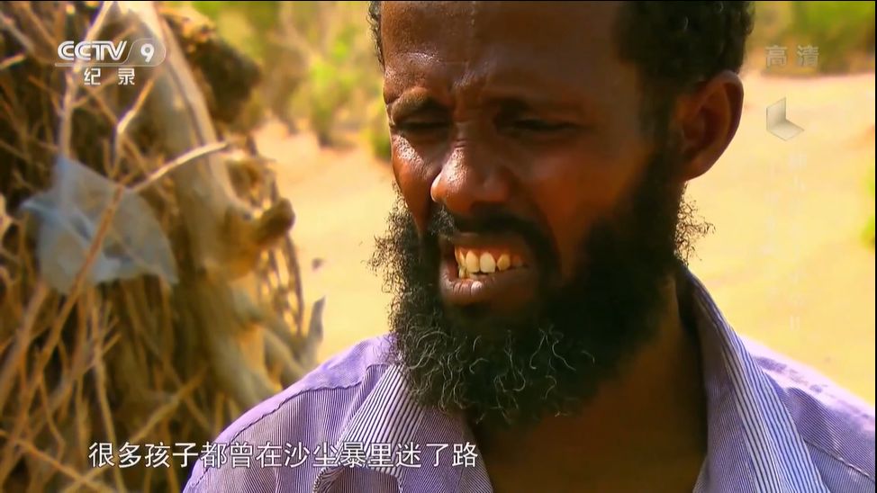 看哭10万人的9.6分神作出续集，有一群孩子为了上学可以赌上性命