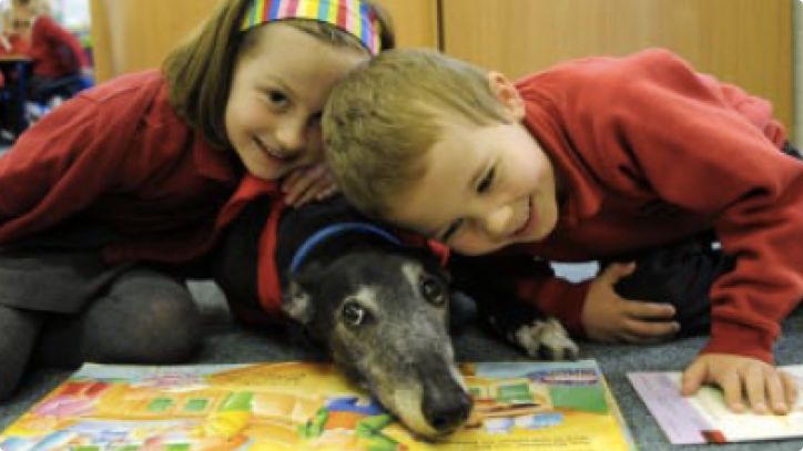 这群孩子的阅读力与同理心令人惊叹，只因有一只狗狗做伴读