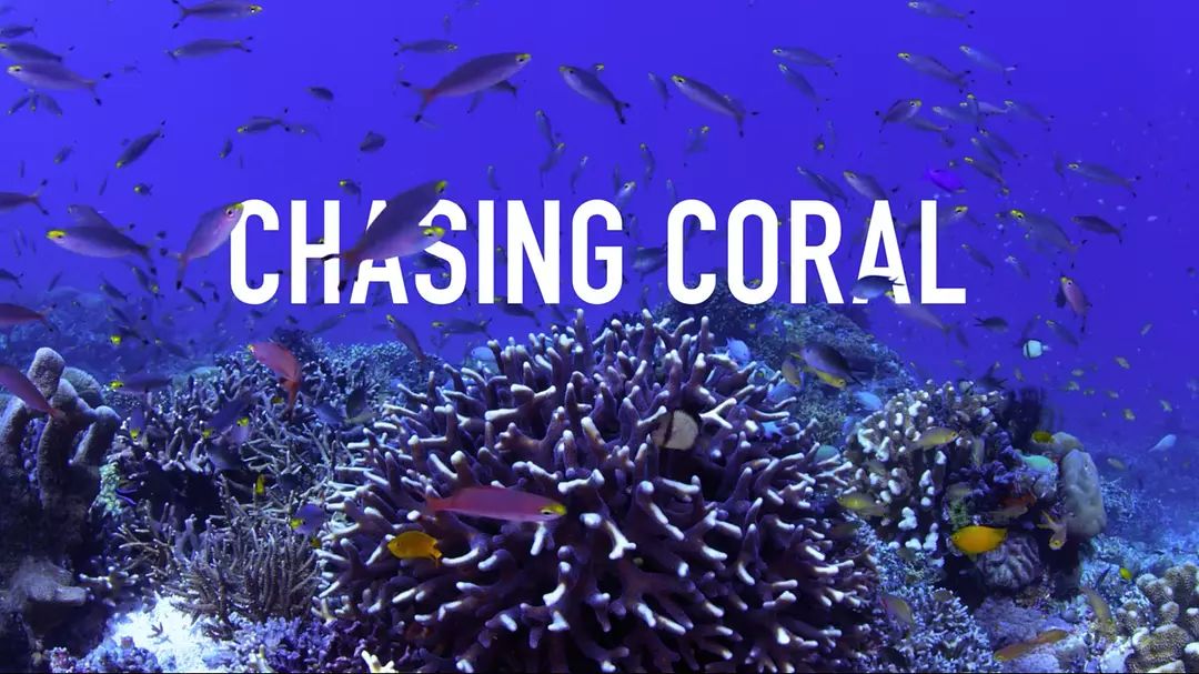 2070年全球珊瑚礁将消失？这部高分纪录片为你揭开谜底！
