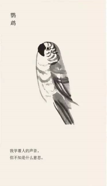 北岛和刘慈欣为什么都建议孩子多读“无用之书”？