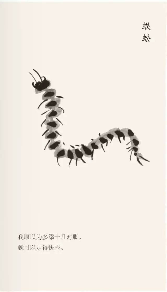 北岛和刘慈欣为什么都建议孩子多读“无用之书”？