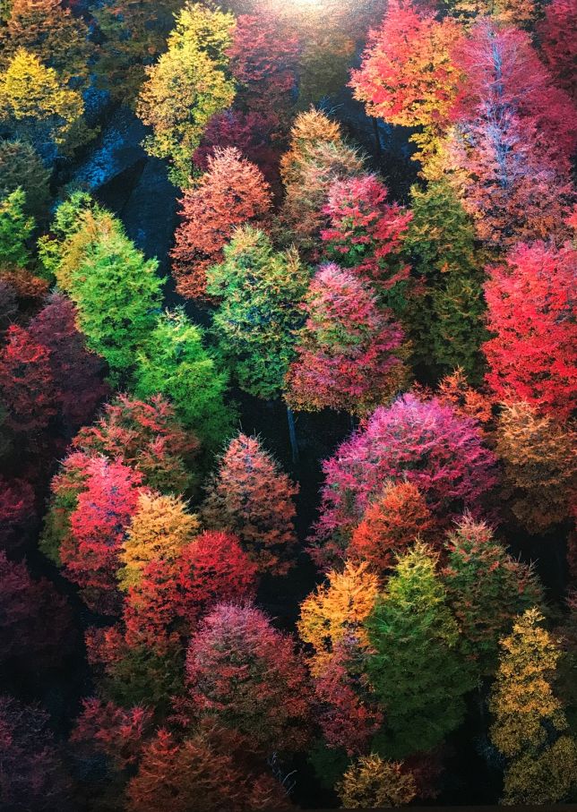 一部8.9分美剧的启示：标准答案对孩子的危害到底有多大？