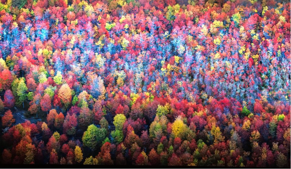 一部8.9分美剧的启示：标准答案对孩子的危害到底有多大？