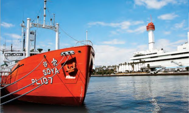 排名前1%日本孩子的学习秘诀：像科学家一样思考