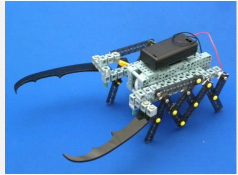 排名前1%日本孩子的学习秘诀：像科学家一样思考