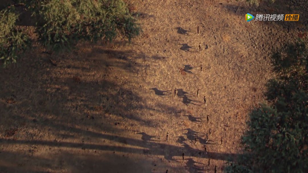 BBC9.6分纪录片出炉，让孩子从小真正懂得“竞争”