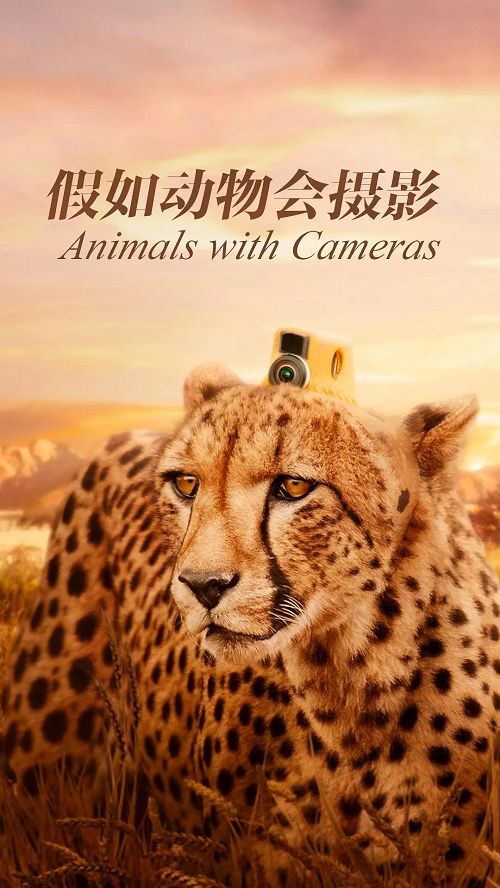 12部高分学科纪录片，激发孩子的学习内驱力