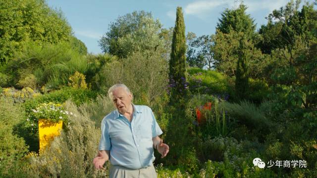 8部趣味十足的高分纪录片，全面激发孩子的理科思维