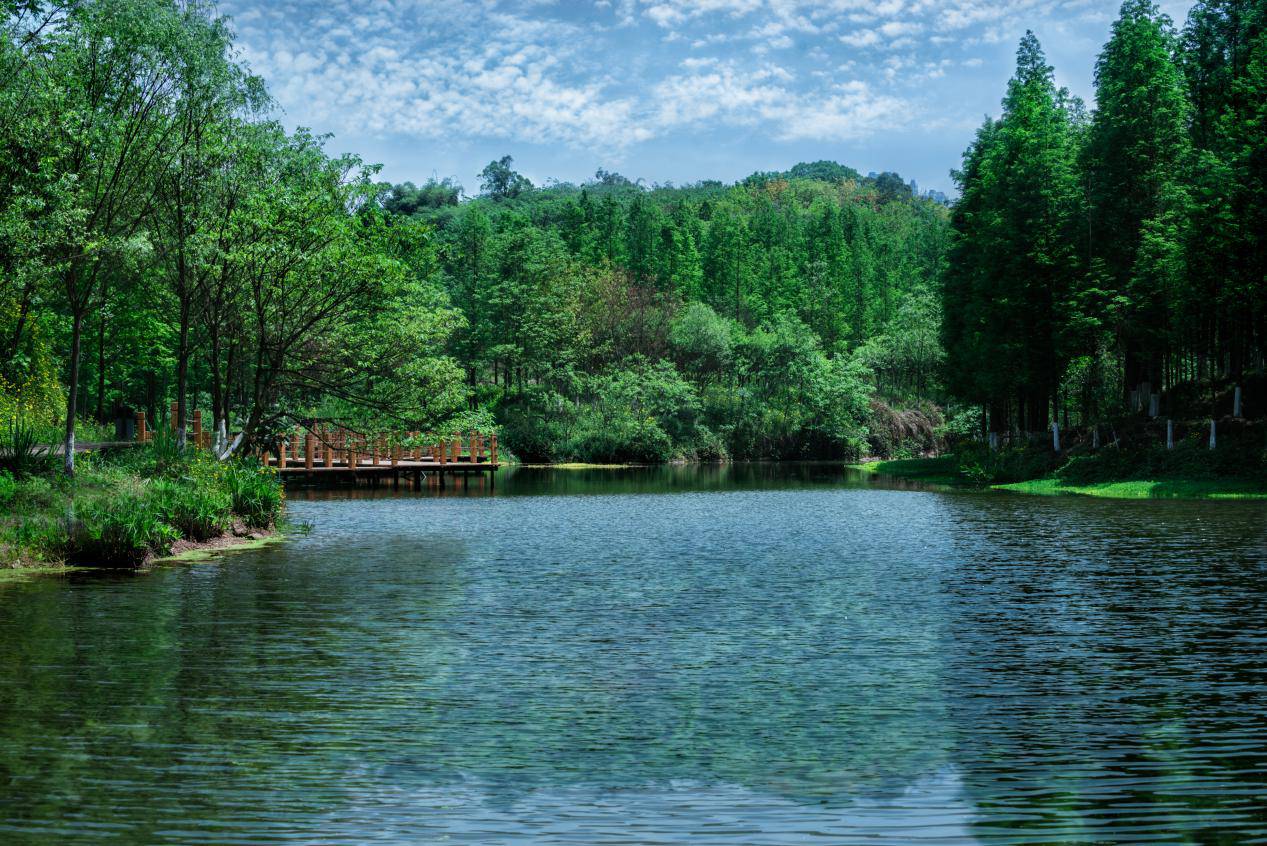 江山樾园来别墅新品发布 ——九曲河城市公园别墅诠释重庆理想人居