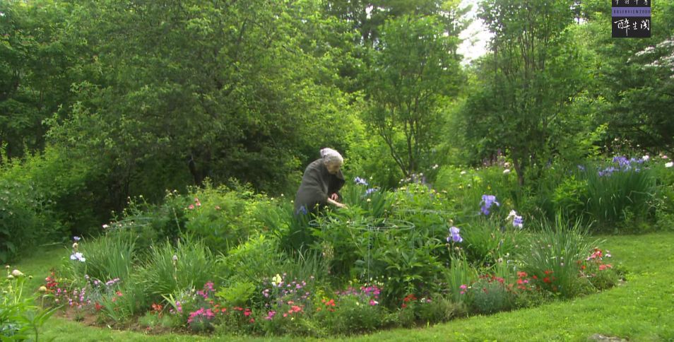 日本人最憧憬的女神 竟然是92岁的她 我中新闻网