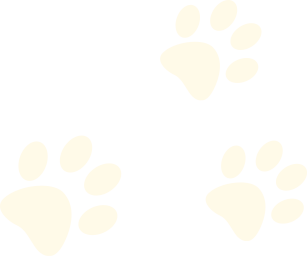 促愈凝胶怎么排出活菌递送：另辟蹊径实现创面促愈_https://www.jmylbn.com_新闻资讯_第8张