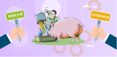 促愈凝胶怎么排出活菌递送：另辟蹊径实现创面促愈_https://www.jmylbn.com_新闻资讯_第4张