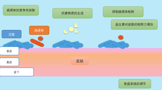 促愈凝胶怎么排出活菌递送：另辟蹊径实现创面促愈_https://www.jmylbn.com_新闻资讯_第9张
