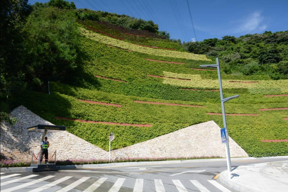 半山半画卷一方一倾城深圳最美立体绿化景观边坡