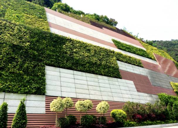 半山半画卷一方一倾城深圳最美立体绿化景观边坡