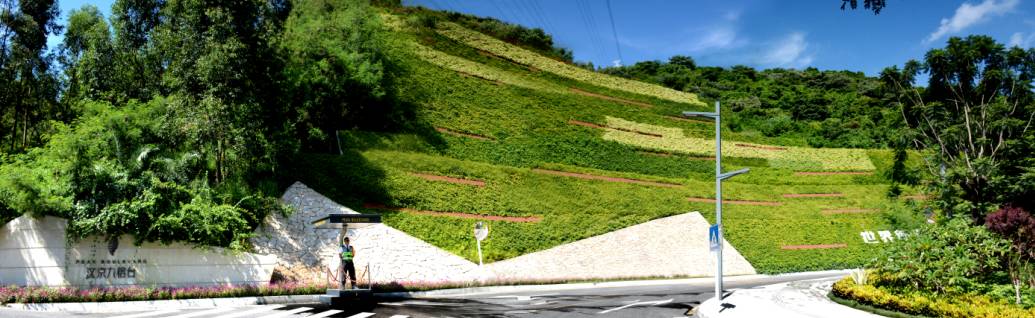 立体绿化种类繁多,包括室内绿化,阳台绿化,墙面绿化,坡面绿化等等.
