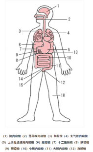 宾得胃镜怎么样深度 ｜ 一次性内窥镜，几百亿的蓝海市场，“谁主沉浮”_https://www.jmylbn.com_新闻资讯_第4张