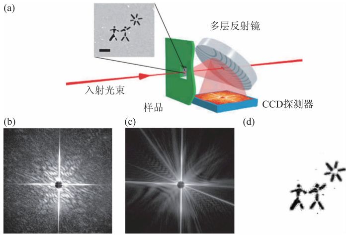 x光是什么原理X射线自由电子激光的原理和在生物分子结构测定研究中的应用_https://www.jmylbn.com_新闻资讯_第2张