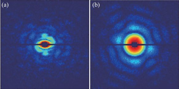 x光是什么原理X射线自由电子激光的原理和在生物分子结构测定研究中的应用_https://www.jmylbn.com_新闻资讯_第4张