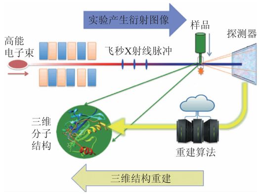 x光是什么原理X射线自由电子激光的原理和在生物分子结构测定研究中的应用_https://www.jmylbn.com_新闻资讯_第3张