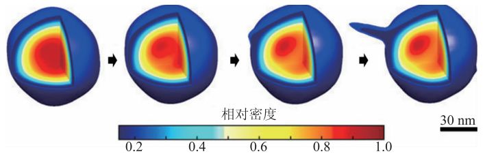 x光是什么原理X射线自由电子激光的原理和在生物分子结构测定研究中的应用_https://www.jmylbn.com_新闻资讯_第5张