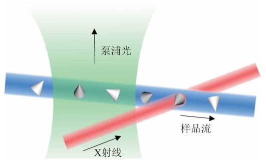 x光是什么原理X射线自由电子激光的原理和在生物分子结构测定研究中的应用_https://www.jmylbn.com_新闻资讯_第8张