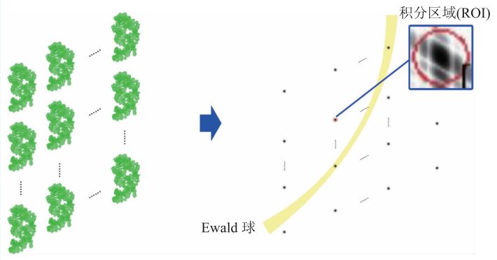 x光是什么原理X射线自由电子激光的原理和在生物分子结构测定研究中的应用_https://www.jmylbn.com_新闻资讯_第6张