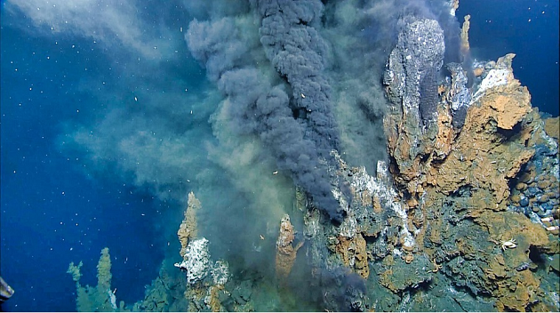 国际研究发现深海采矿可摧毁海底生态系统 国际资讯 环球破碎机网