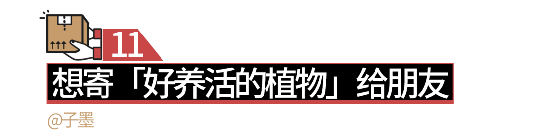 小心那個給你寄包裹的前任。 情感 第21張