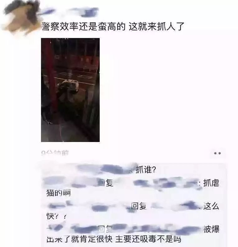 中国女留学生情侣虐猫 回中国我们就安全了 自由微信 Freewechat